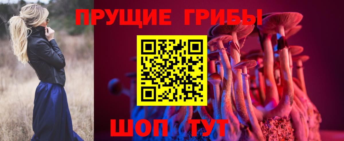 Россошь  Галлюциногенные грибы мухоморы  цены   Вход с VPN 